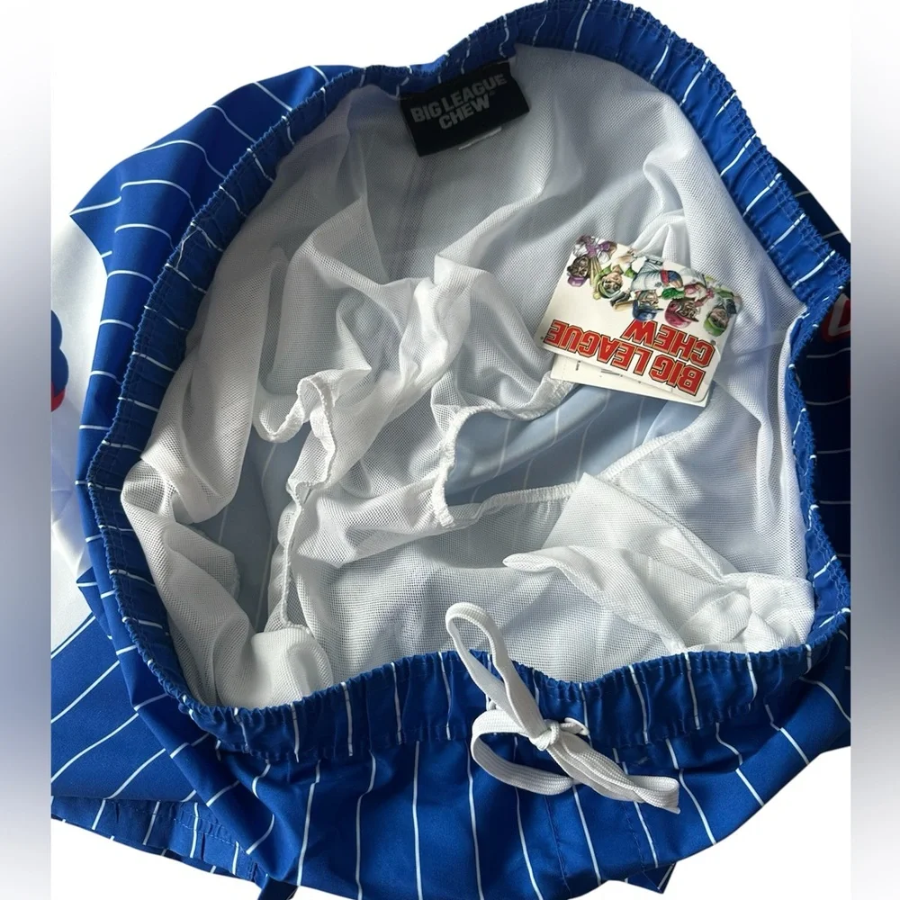 Big League Chew Striped Men's Swim Shorts- Large